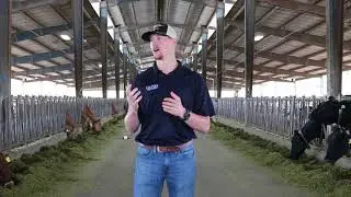 Cal Poly Dairy Marketing Video Jour 205