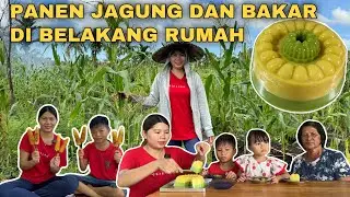 BIKIN PUDING JAGUNG YANG LEMBUT DAN ENAK DAN BAKAR JAGUNG HASIL DARI KEBUN