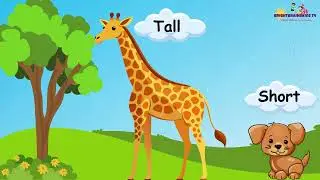 Short and Tall Concepts For Kids | Fun Heights Lesson for Preschoolers|@BrightBrainsKidsTV-eo8nv