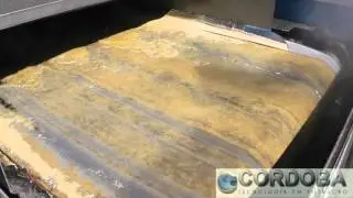 Belt Filter CORDOBA MFD150 - US SUGAR (USA-Florida)