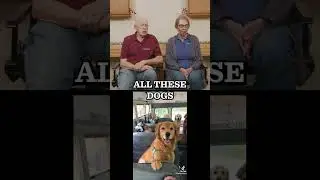 Dr. Pol Reacts -The Coolest Doggy Day Care Idea EVER 🏆🐶#drpol