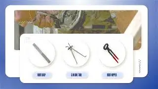 Essential Horse Care Tools for Health & Grooming