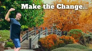 Summer to Fall: 7 Ways to Successfully Transition Your Garden!