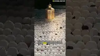 73 Sects, only 1 in Heaven?