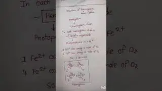 structure of haemoglobin