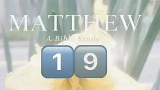 Matthew 19 Audio Bible Experience 