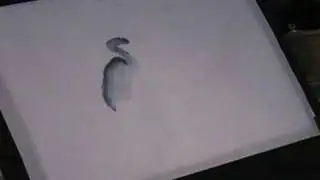 Chinese Brush Painting Basic Lesson 1:1