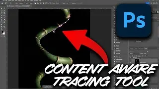 Content Aware Tracing Tool: The NEW Photoshop Tool You NEED
