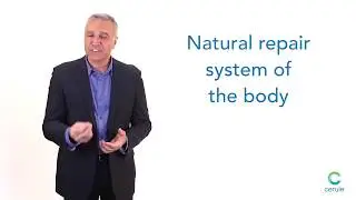 Cerule Product: StemEnhance ULTRA, Cyactiv, Plasmaflo Synergy