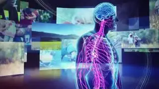Magstim / TMS Video