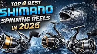 Топ-4 лучших спиннинговых катушек Shimano по мощности и производительности 2026 года