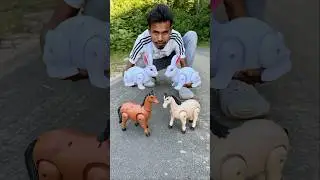Remote Control 2 Ta Rabbit and RC 2 Ta horse deko 😊
