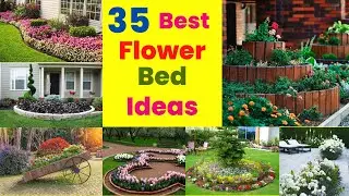 35 Best Flower Bed Ideas  for Front Yard and Back yard 🌿💚 | Swaroopa Diaries