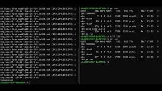 ping command | kill command | How to terminate a process in linux | unix #unix #linux