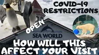 SEAWORLD GOLD COAST 2020 - OPEN AGAIN - NEW COVID-19 RESTRICTIONS - FULL TOUR SEAWORLD 2020
