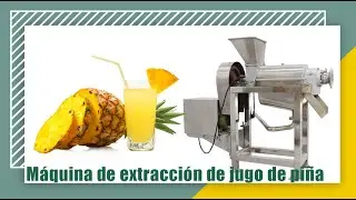 Precio de la máquina extractora de jugo de piña industrial 500kg / h