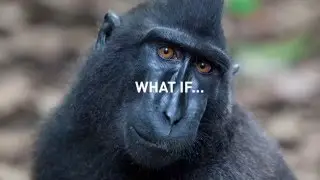 SOS - Save Our Species: What If?