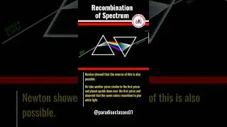 Recombination of Spectrum Explained | Optics Physics | Paradise Classes