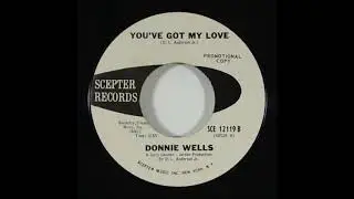 Donnie Wells  -   You've got my Love