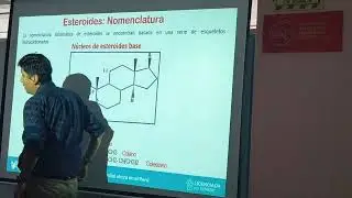Semana 14 (parte 2) | Esteroles | Pr&aacute;cticas 3