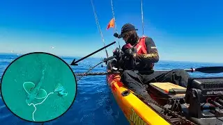 The most UNBELIEVABLE Kayak Fishing Gurnard Footage EVER - Live Underwater bait cam