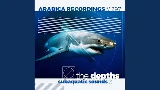 Underwater Battle (Original Mix)