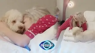 Benita zgjohet me puthje dhe përqafime nga Bella 💕