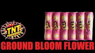 Ground Bloom Flower - TNT Fireworks&reg; Official Video