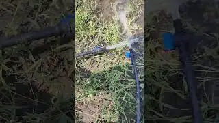 Ground nut & Sunflower with SPK farming with less water use