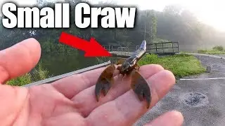 Bass Fishing a Small Craw Texas Rig + EPIC Fishing Mail Unboxing