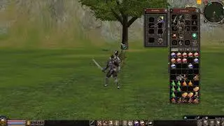 EQUIPO/TUTORIAL/DESPEDIDA - Persona Lvl 55 Guerrero Mental - Metin2.es Ascarion