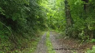 More water that I found close to my off grid cabin. Spring found 4-24 -14