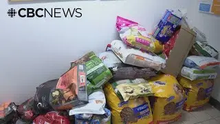 Humane Society Yukon looks to expand free pet food program