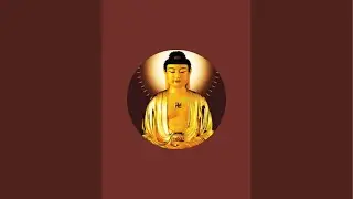 CHÙA ĐẠI TÒNG LÂM NUÔI NGƯỜI GIÀ đang phát trực tiếp!