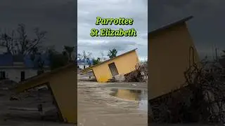 Parottee St Elizabeth #viral #shorts #parottee #stelizabethjamaica
