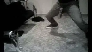 Dog bites my balls