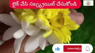 😱Nindu noorella saavasam Serial Today Episode review/Zee Telugu/ఆరు పాప ని కాపాడిన ఆకాశ గరుడ🥳