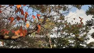 My  Road/ Lee  Oskar