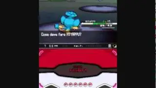 Pok&egrave;mon Nero - Hiyappu vs. Koromori