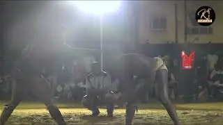 Mame Fally Vs Babou Soundiane / Gala De Lutte Simple