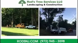 Morris Plains New Jersey Tree Services