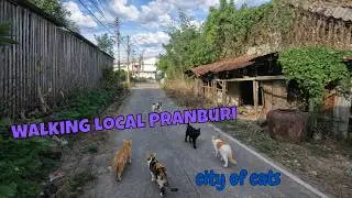 Walking Local Pranburi Thailand 60 FPS 4K