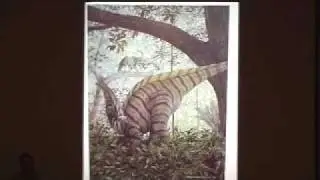 Life in Stone, Fossils of the Colorado Plateau by Christa Sadler - Part 7