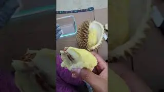 Frozen Durian Taste Test and How to open it