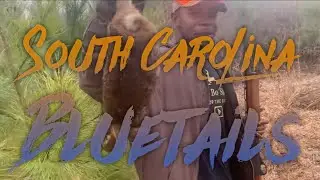 The Last Rabbit Hunting Movie of 2021  RABBIT ROUND UP SOUTH CAROLINA 55 Harvested