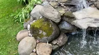 Matthew&rsquo;s waterfall one year update
