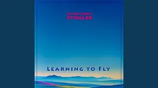 Learning to Fly