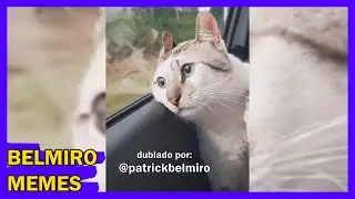 Belmiro Memes: Melhores dublagens engra&ccedil;adas da semana 37