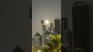 Beauty of Sharjah - Pakistani Vlogger #shazvlog #dubaivlog #pakistanivloggerindubai