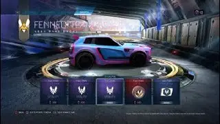 Fennec Esports decal